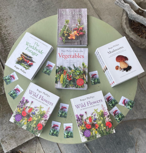 Wild Flowers Book Linktree